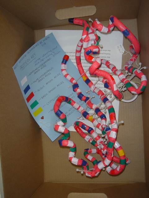 Protein Modeling