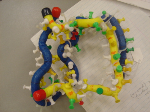 07_princeton_protein_019
