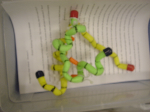 07_princeton_protein_024