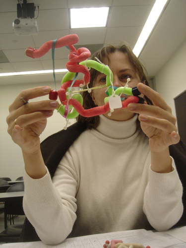 07_princeton_protein_028